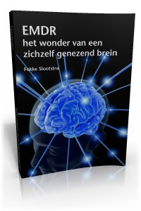 Fokke Slootstra
EMDR, het wonder van een zichzelf genezend brein